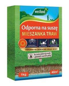 Westland Odporna NA SUSZĘ mieszanka nasion traw karton 1kg/40m2 UPRAWA